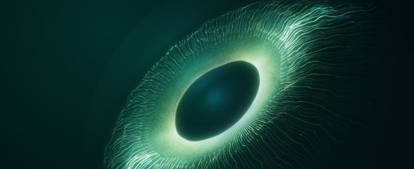 Rozwój CSDonDLT - KDPW